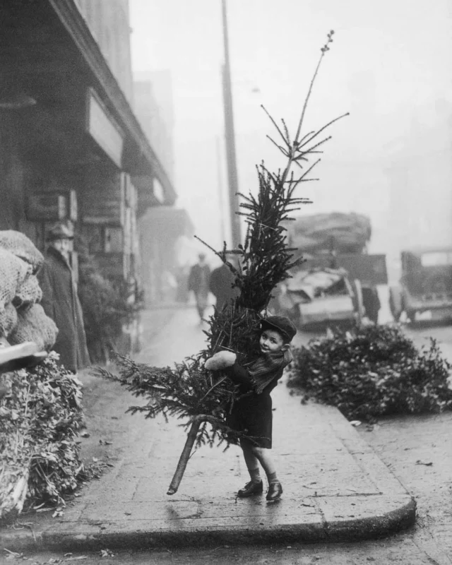 Wir wünschen allen fröhliche Weihnachten und ein glückliches neues Jahr