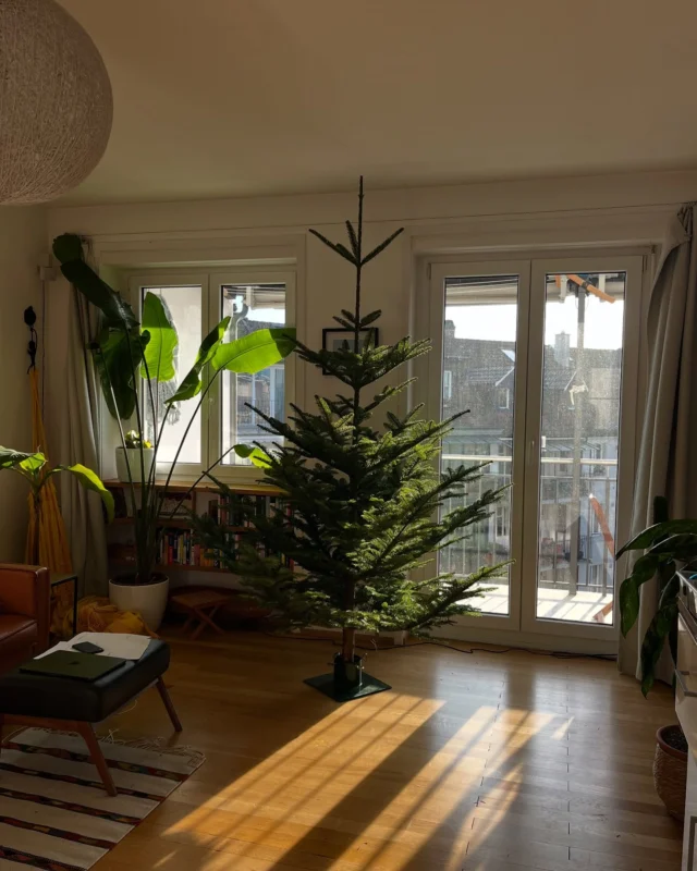 Wir wünschen euch allen frohe Weihnachten und ein glückliches neues Jahr.