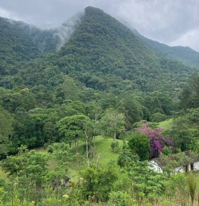 Dank den Spenden von unseren Kunden und unserer Spende konnten wir in Zusammenarbeit mit dem Basler Verein Desert Tree 50 Bäume in Brasilien pflanzen. Genauer in der Mata atlântica im Bundesstaat Rio de Janeiro, dies ist ein küstennaher Regenwald und weist eine höhere Artenvielfalt als der Amazonas-Regenwald auf.

Ein grosses Dankeschön an alle Beteiligten.

http://www.desert-tree.ch/