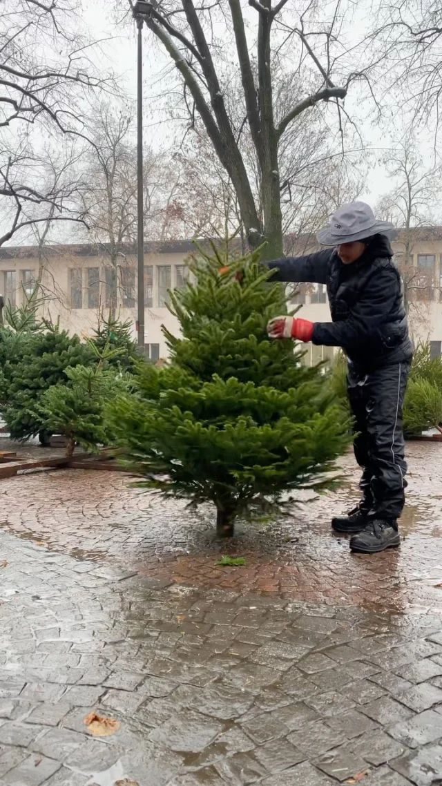 Instagram post 17937871205384512