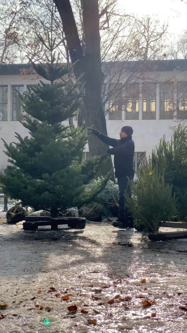 Instagram post 17998000534579621