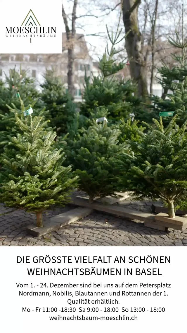 Seit 1980 sind wir – die Familie Moeschlin – in Basel traditionell als Familienbetrieb zur Weihnachtszeit auf dem Petersplatz präsent. Nur persönlich ausgelesene Weihnachtsbäume der 1. Qualität werden von uns angeboten.
Sie möchten gerne einen Weihnachtsbaum kaufen? Täglich stellen wir eine grosse Auswahl an Rottannen, Nobilis, Nordmanntannen und Blautannen auf. Viele schöne Weihnachtsbäume warten auf Sie.