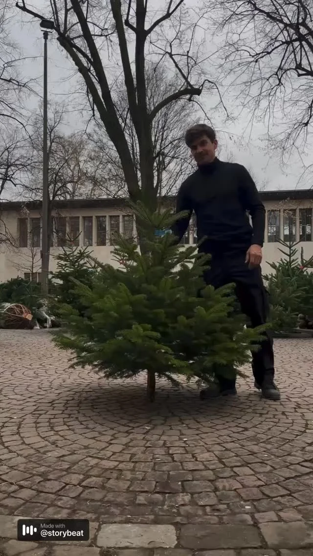 Sie möchten gerne einen Weihnachtsbaum kaufen? Täglich stellen wir eine grosse Auswahl an Rottannen, Nobilis, Nordmanntannen und Blautannen auf. Viele schöne Weihnachtsbäume warten auf Sie.