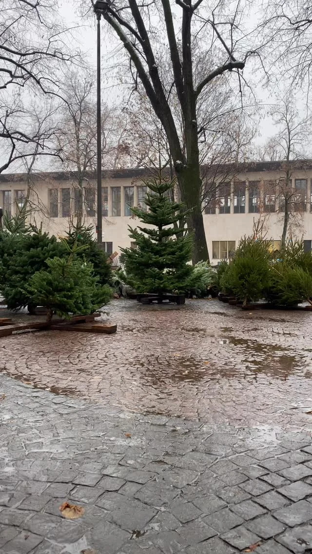 Instagram post 18249745627293762