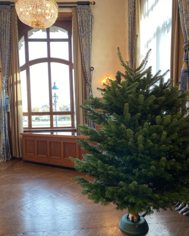 Eine wunderschöne Nordmann-Tanne geliefert und aufgestellt im Hotel Les Trois Rois.
#basel #baselcity #lovebasel #lovebasel❤️ #weihnachtsbaum #weihnachtsbaummoeschlin #nordmanntanne